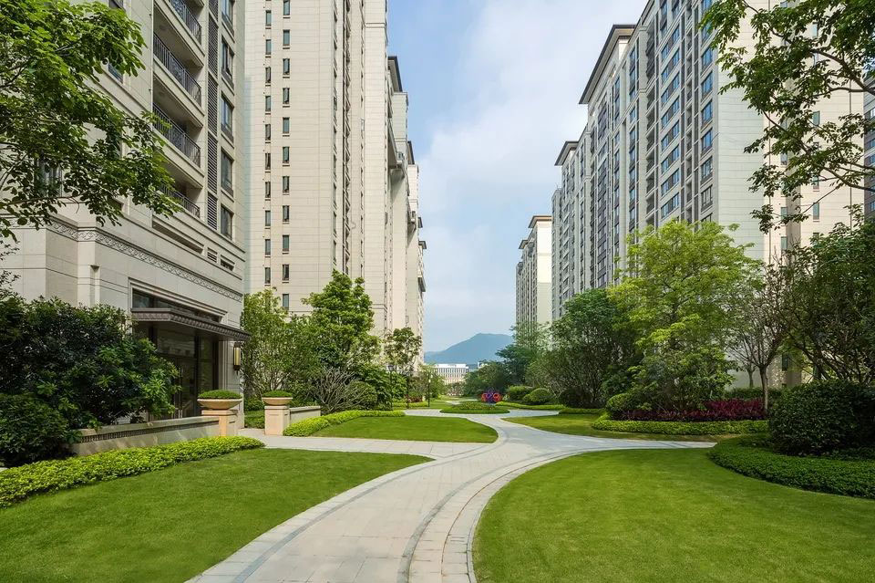 1594951974744019.jpg 1594951974744019.jpg