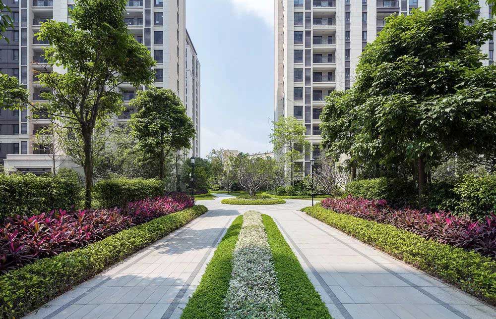 1594952165113388.jpg 1594952165113388.jpg