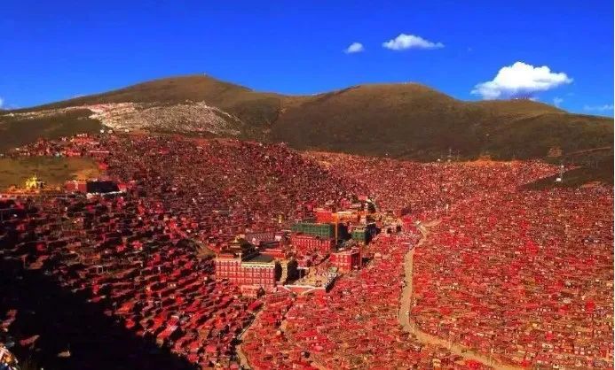 1655362705531012.jpg 微信圖片_20220616145746.jpg